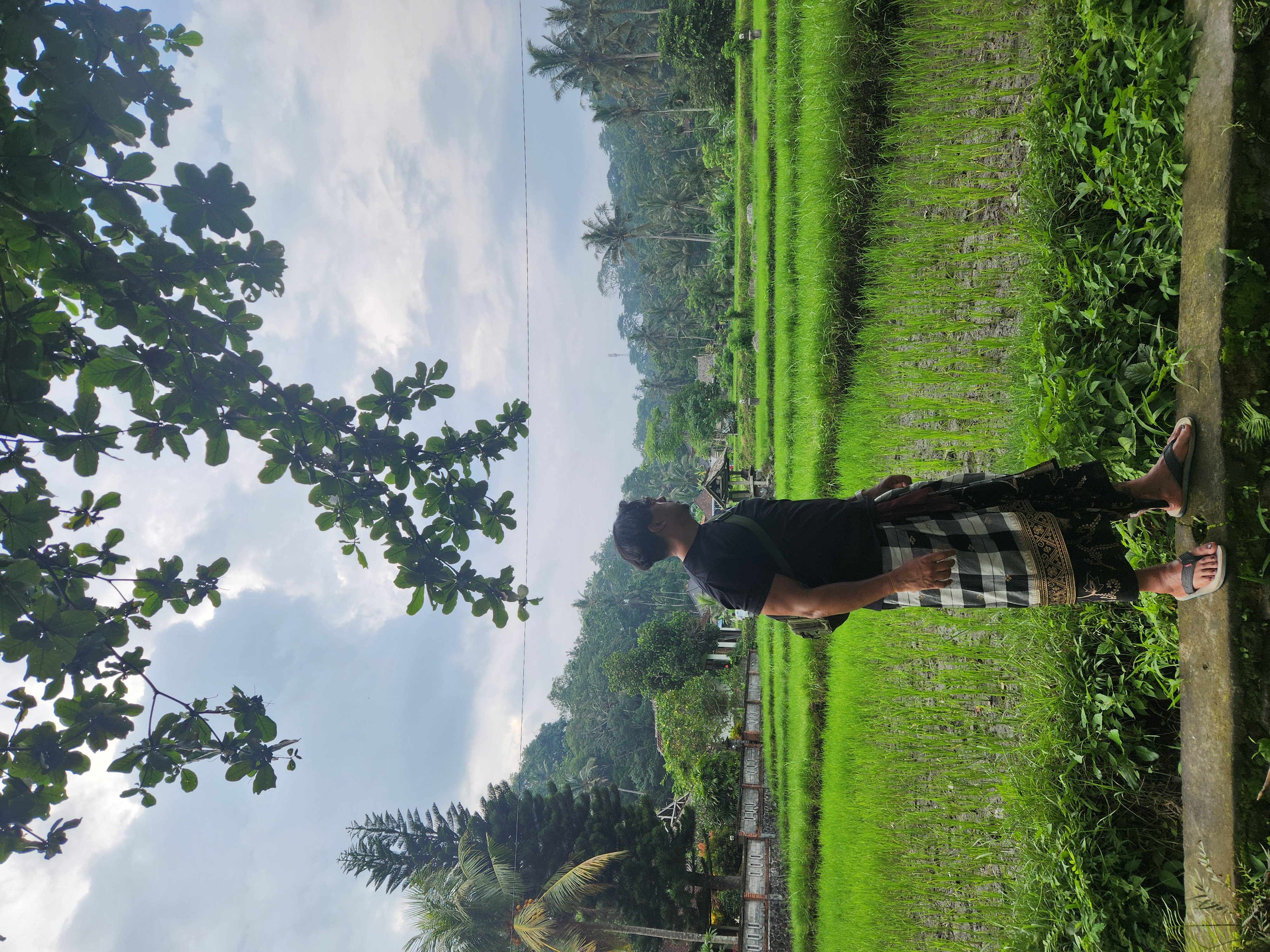 Person in traditional checked sarong standing above bright green rice terraces