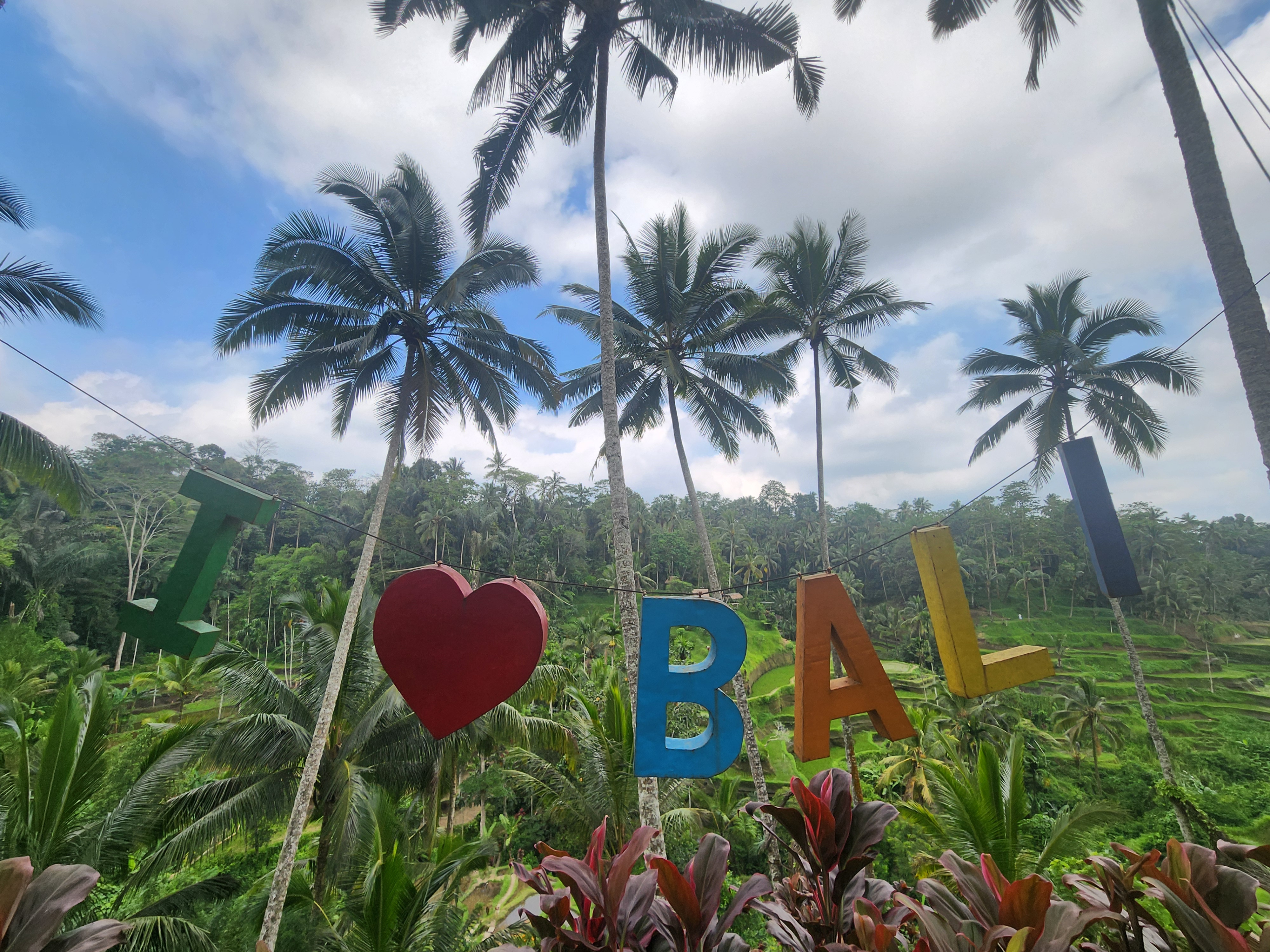Colorful I love Bali sign on a wire above terraced rice paddies and palm trees